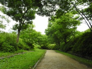 20150621六甲山森林植物園 (13)
